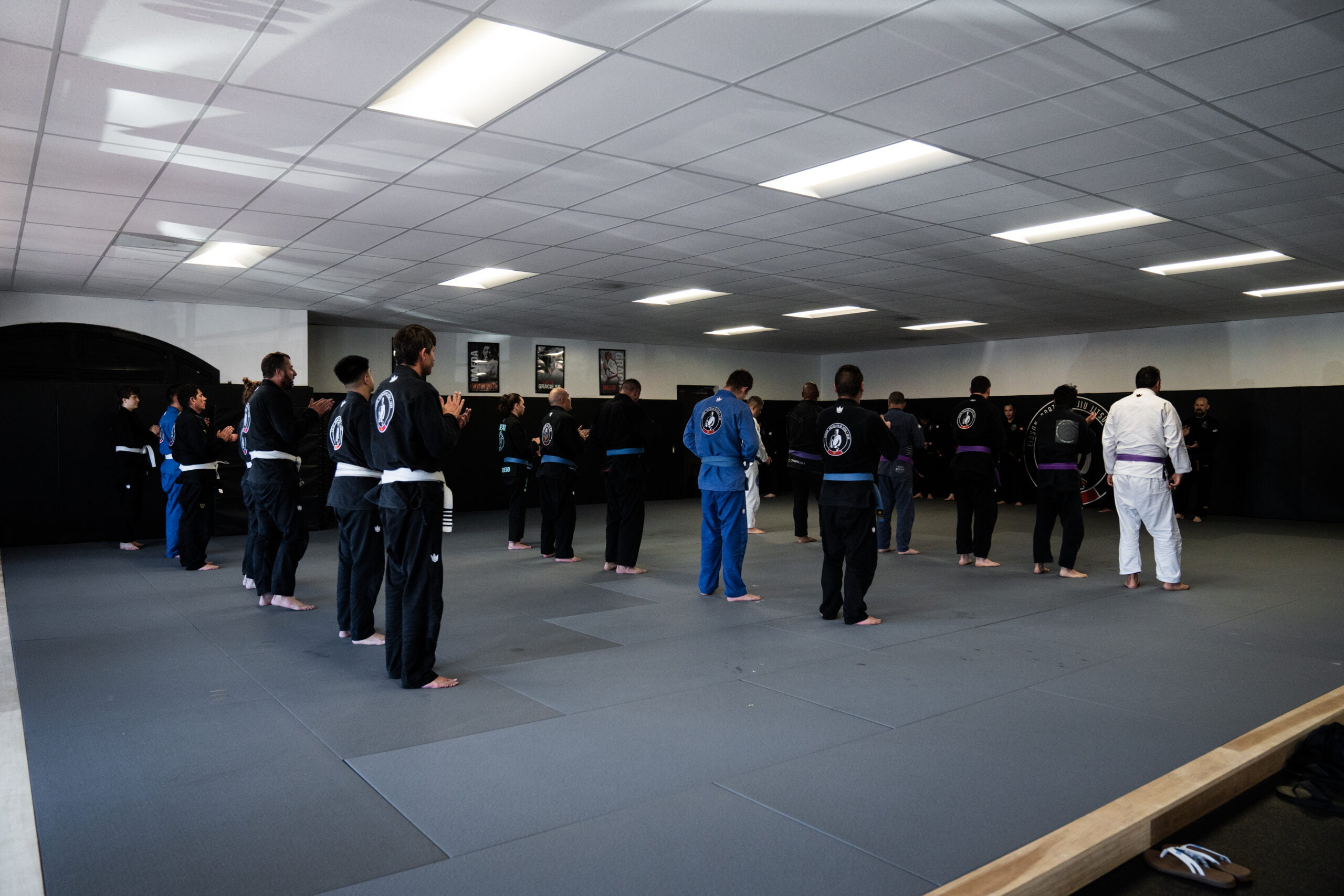 Large group of martial arts students standing in formation on mats during class session - Martial Arts